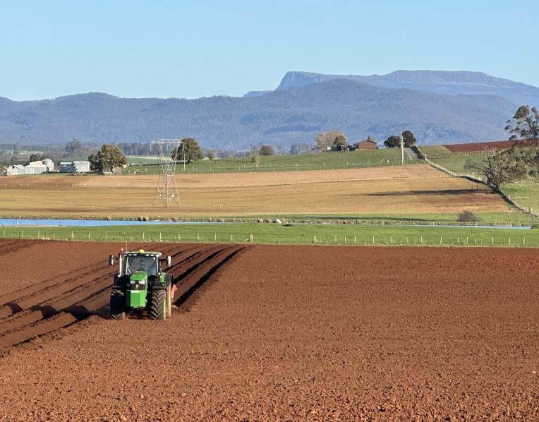 Tractor preparing paddocks near Deloraine.