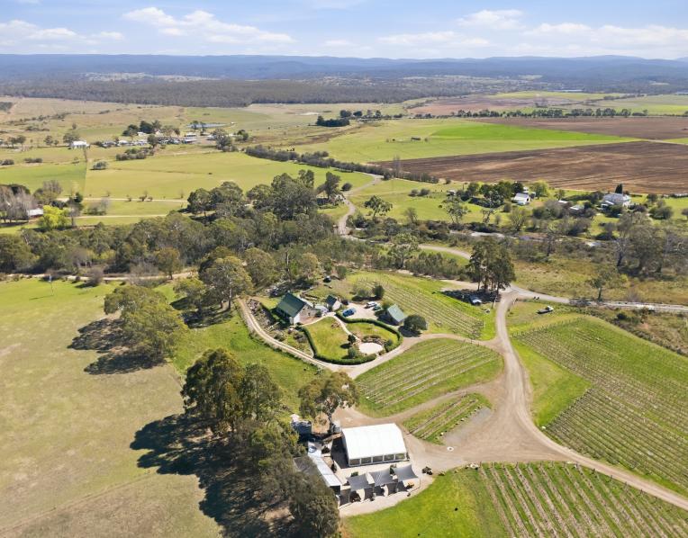 Craigie Knowe Vineyard