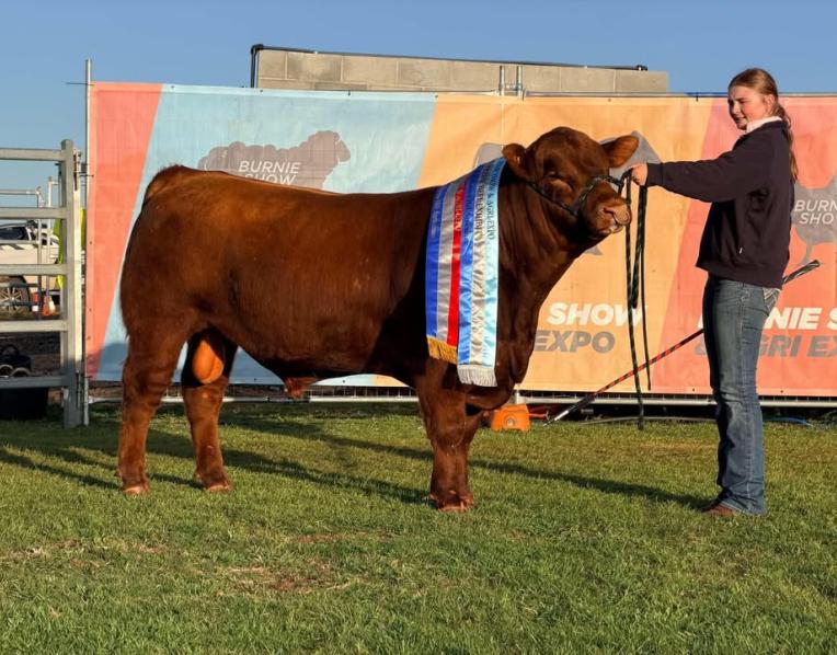 Supreme beef exhibit