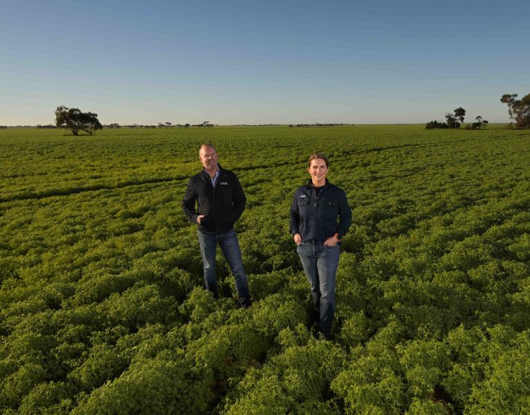 Co-founders of Cropify, Anna Falkiner, originally from Longford and Andrew Hannon, originally from Hobart.