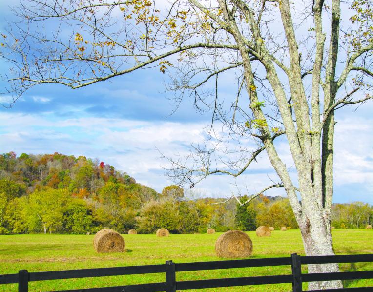A farm fence