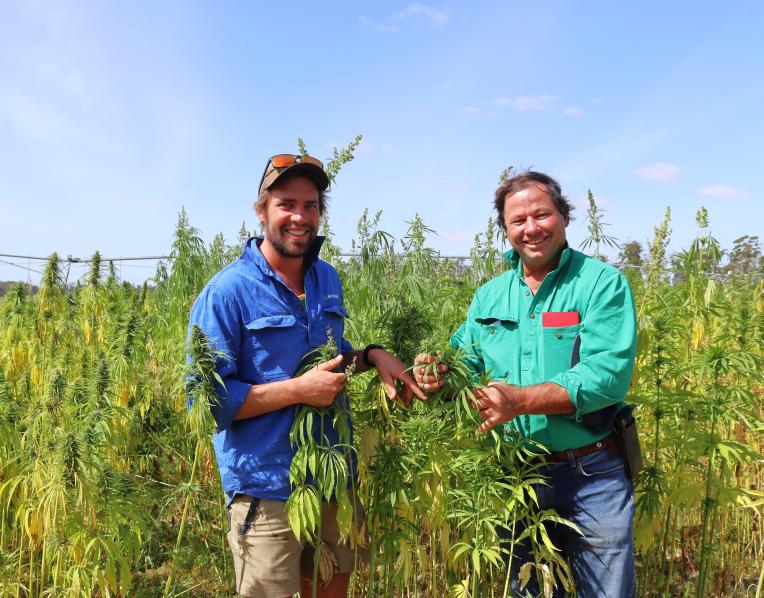 Hemp growers Chris Bayles and Tim Schmidt