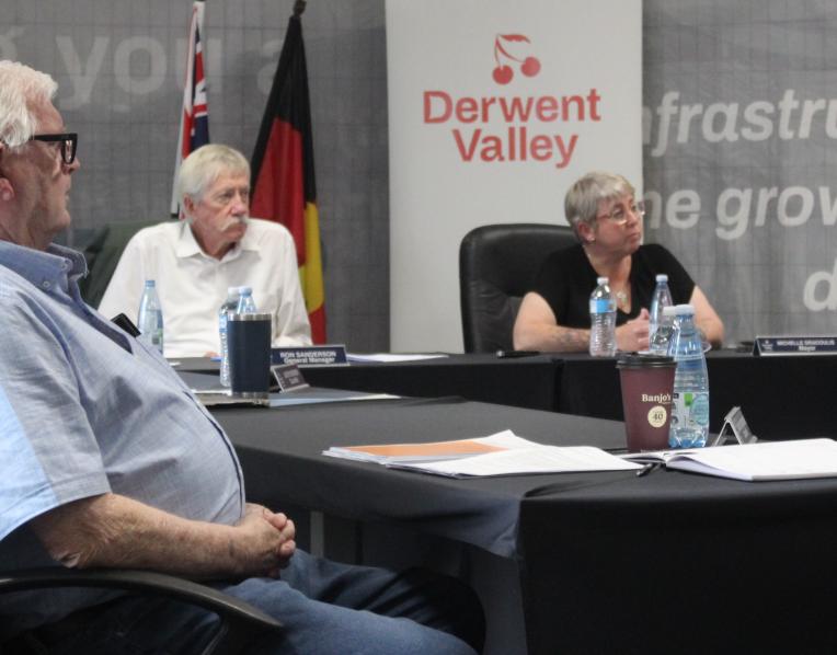 DV Council meeting