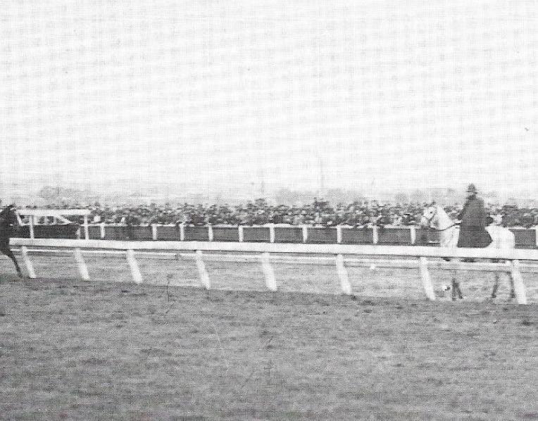 Colonus winning the Melbourne Cup
