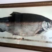 Trout