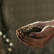 Soil
