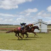 A racing meet on King Island