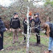 UTAS community garden coordinator Jeff McClintock and TIA tree crop physiologist Leticia Reis with workshop participants in the Newnham Campus 50 Trees Heritage Orchard.