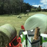 Hay silage