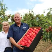 Leanne and Andrew Scott of Scott Bros