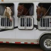 Horse transportation