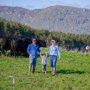 Michael and Sarah Mather with their daughter Poppy, 2, on their New River Angus stud at Ringarooma