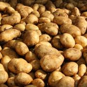 Potatoes