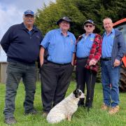 Lions Club of Ulverstone member Butch Hamilton, president Gus Gleeson, membership director Peter Kurrle and vice president Bill Mann