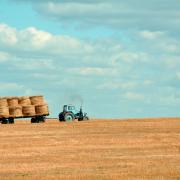 Tractor carrying haybales