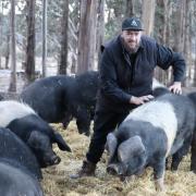 William Russell at Pig Creek Farm