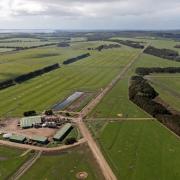 Harcus Dairy in Circular Head