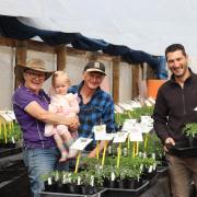 Annette and Nevil Reed with granddaughter Lainey Hall, 2, and new owner Predrag Reznic