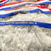 Grand Champion Fleece