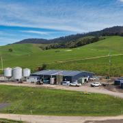 Blumont Dairy, which is one of the Tasmanian farms on the market