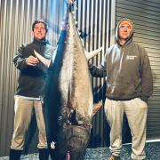 Nathan Van Der Spek with the 133.9 kg Southern Bluefin Tuna he caught off Bass Strait recently. Standing beside him is Sean Townsend