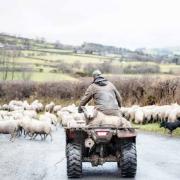  ATV photo by Siddhant Kumar.