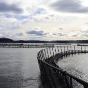 Huon Aquaculture salmon pens at Storm Bay