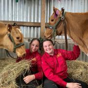 Yolla District School student Lilly Shaw of Elliot and Ashlee Gardam of Wynyard with school dairy cows Torpedo and Denzil