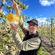 JM Roberts Charitable Trust recipient Justin Cappadonna with a codling moth sensor at an apple orchard in northern Tasmania.