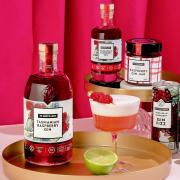 7K Distillery's Raspberry Gin /Fizz product