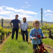 Alex Dean and Mardi with their son, Lewis, in the vines at Meadowbank Wines.