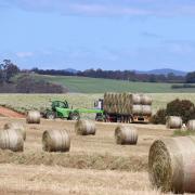 Hay bales being loaded onto a truck