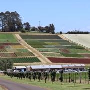 Forthside Research Facility