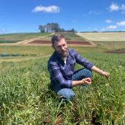 Tasmanian Institute of Agriculture entomologist Dr John Finch