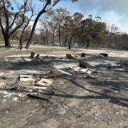 Burned bee hives at Diana's Basin