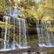 Mt Field National Park
