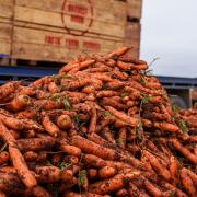 Carrots