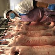 Nathan Blake weighing lamb carcasses in the boning room