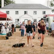 Attendees at the festival