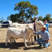 Murton Charolis won the supreme exhibit