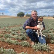 Chris Rockliff and Daisy the dog.