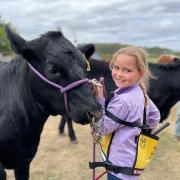 Youngest competitor Winnie Archer of Landfall Angus, Dilston