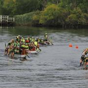 Dragon Boats racing at New Norfolk
