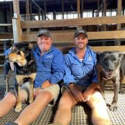 Michael and Tim Hall