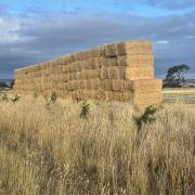 Hay stack