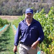 GO.FARM Tasmania general manager Allan Barr at the newly established Beaconsfield vineyard that will produce its first vintage this season.