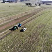 Delmade Rut Filler - in use