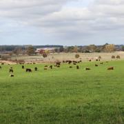 farmland
