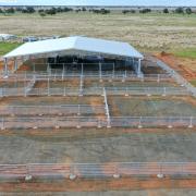 Flinn Design stockyards
