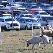 Mary Sotheron and Thatlldo Blanch competing last year at Agfest.